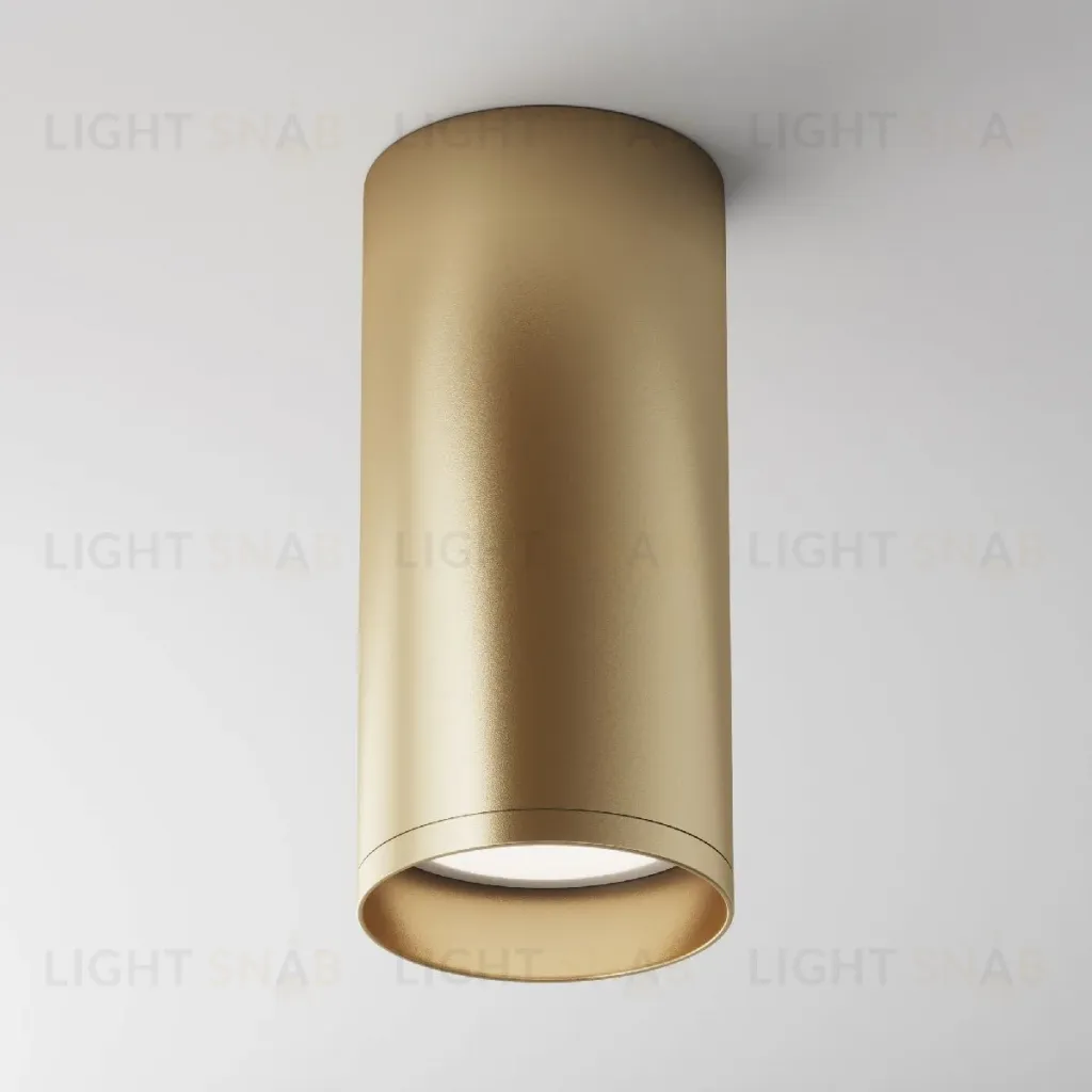 Потолочный светильник Maytoni Focus C010CL-01MG C010CL-01MG