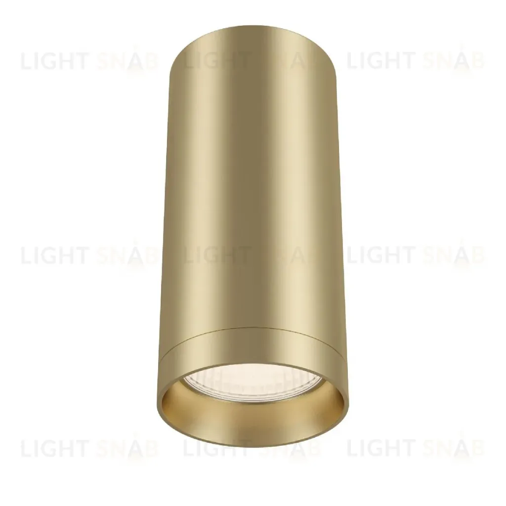 Потолочный светильник Maytoni Focus C010CL-01MG C010CL-01MG