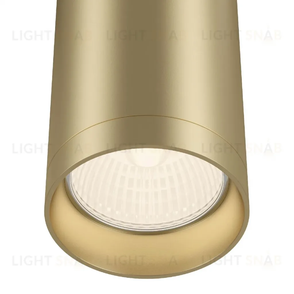 Потолочный светильник Maytoni Focus C010CL-01MG C010CL-01MG
