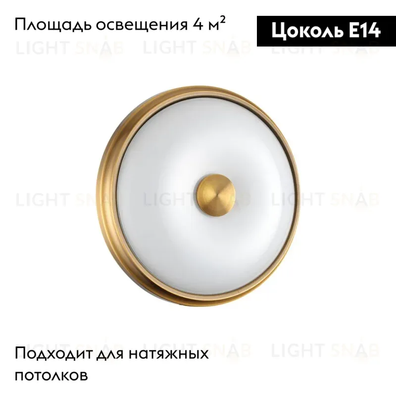 Настенно-потолочный светильник Odeon Light Pelow 4956/2 4956/2