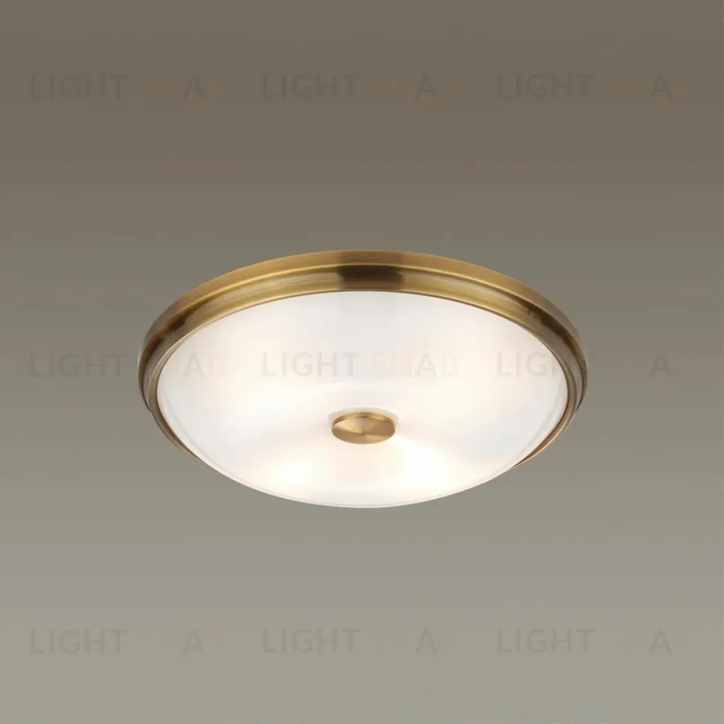 Настенно-потолочный светильник Odeon Light Pelow 4956/4 4956/4