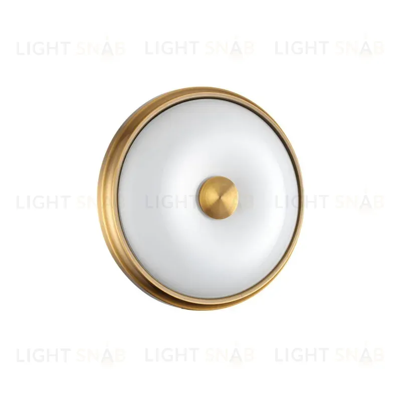 Настенно-потолочный светильник Odeon Light Pelow 4956/2 4956/2