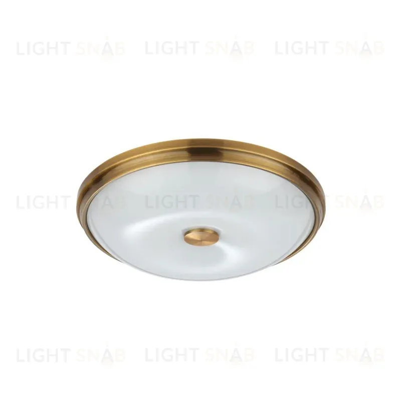 Настенно-потолочный светильник Odeon Light Pelow 4956/4 4956/4