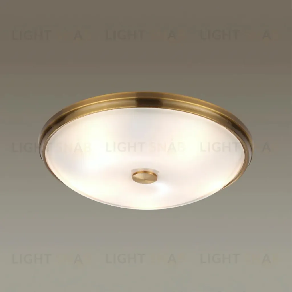 Настенно-потолочный светильник Odeon Light Pelow 4956/5 4956/5