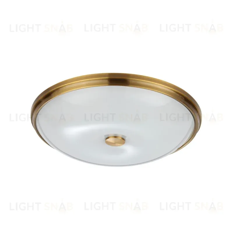 Настенно-потолочный светильник Odeon Light Pelow 4956/5 4956/5