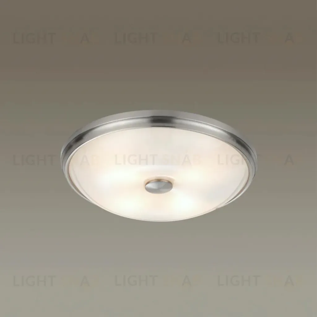 Настенно-потолочный светильник Odeon Light Pelow 4957/4 4957/4