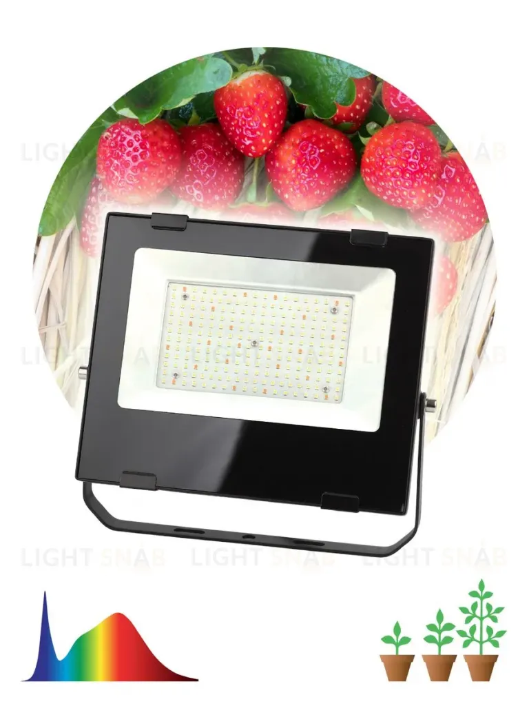 Фитопрожектор для растений ЭРА FITO-100W-Ra90-LED Б0047876 Б0047876