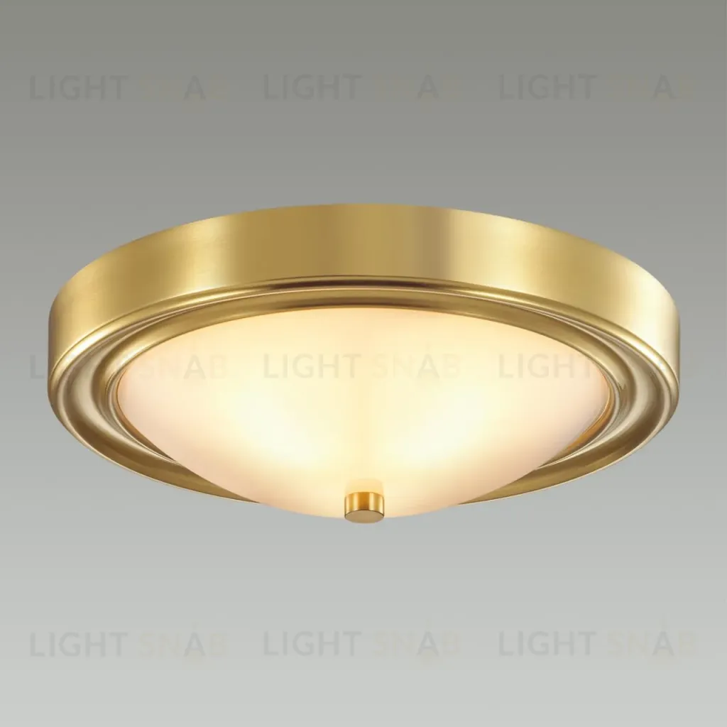 Настенно-потолочный светильник Lumion Vintage 5259/2C 5259/2C