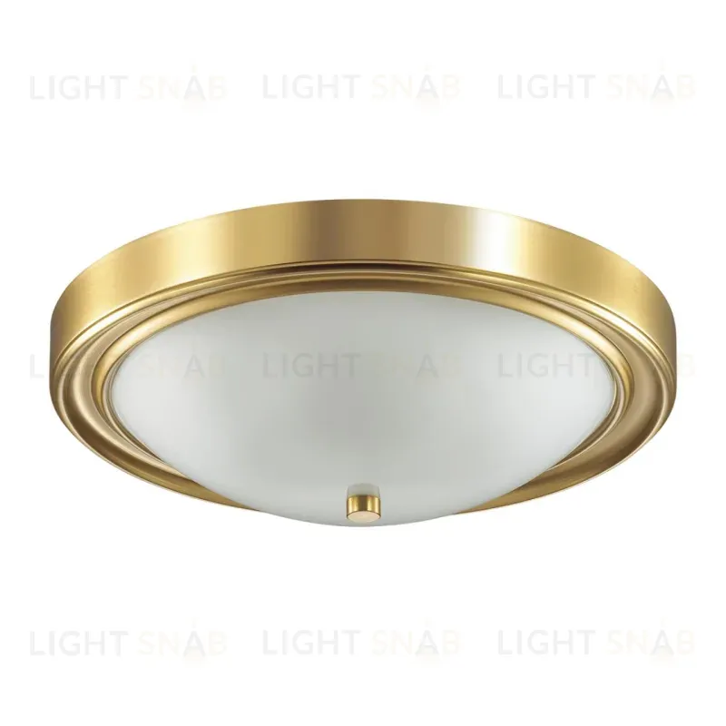 Настенно-потолочный светильник Lumion Vintage 5259/3C 5259/3C