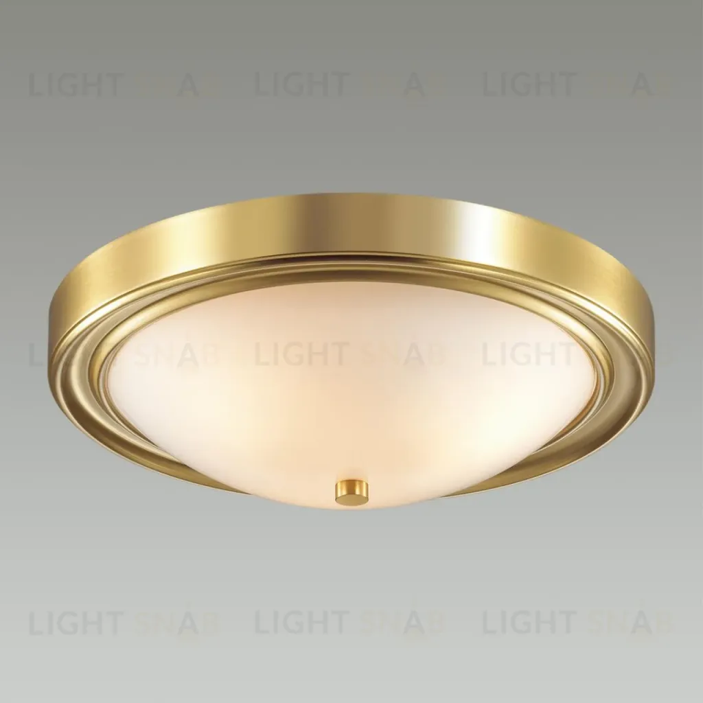 Настенно-потолочный светильник Lumion Vintage 5259/3C 5259/3C