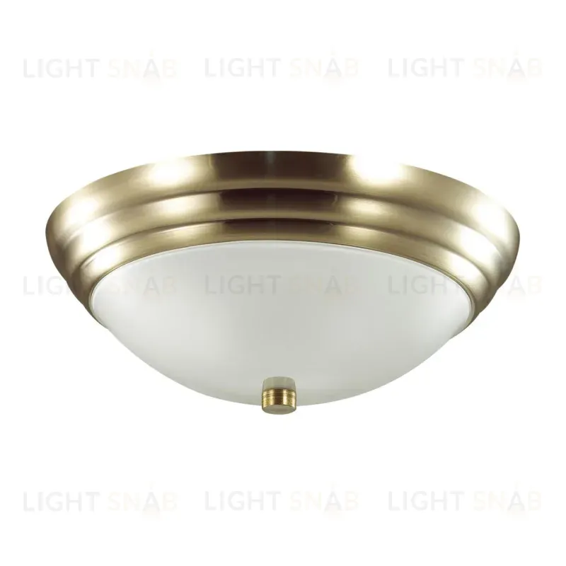 Настенно-потолочный светильник Lumion Vintage 5262/2C 5262/2C