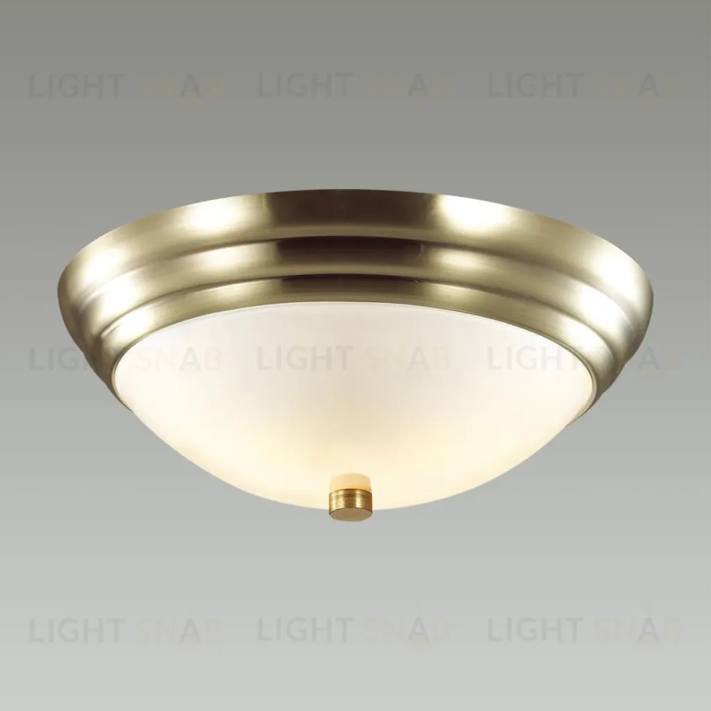 Настенно-потолочный светильник Lumion Vintage 5262/2C 5262/2C
