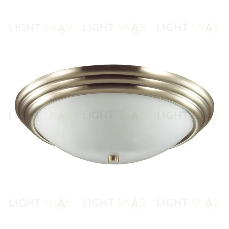 Настенно-потолочный светильник Lumion Vintage 5262/3C 5262/3C