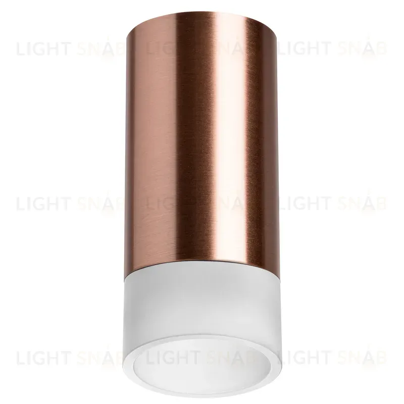 Накладной светильник Lightstar Rullo R43031 (214430+202431) R43031