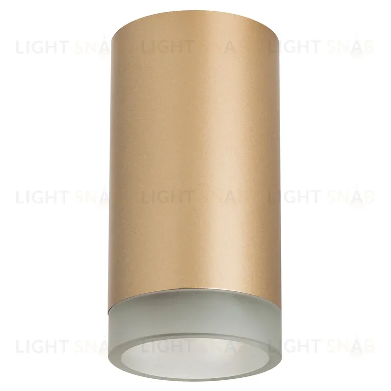 Накладной светильник Lightstar Rullo R44030 (214440+202430) R44030