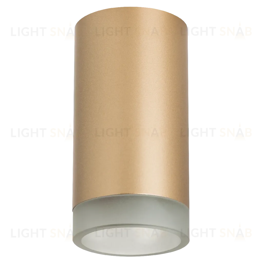Накладной светильник Lightstar Rullo R44030 (214440+202430) R44030
