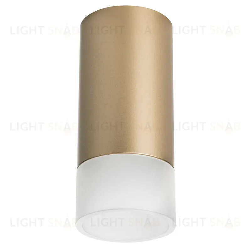 Накладной светильник Lightstar Rullo R44031 (214440+202431) R44031