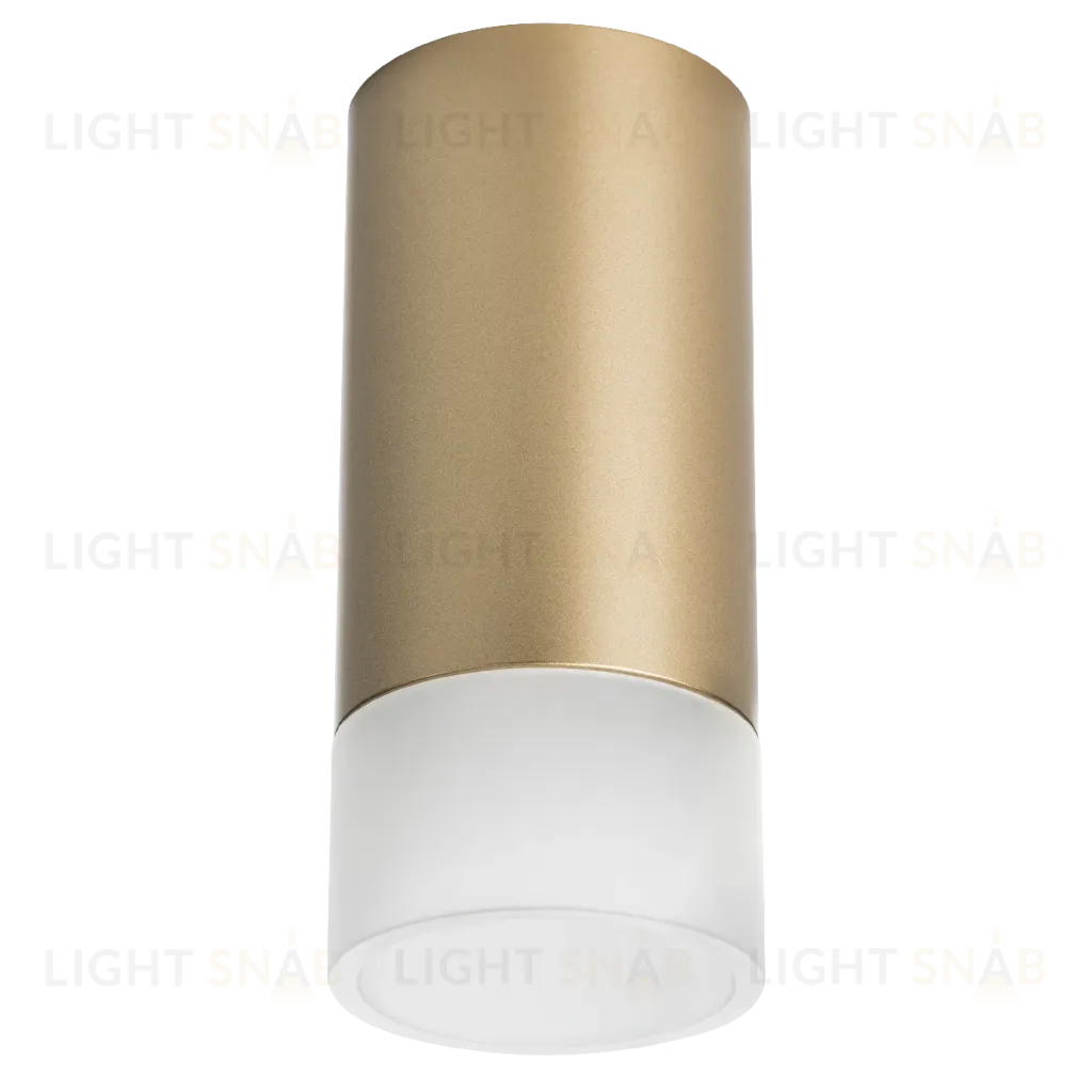Накладной светильник Lightstar Rullo R44031 (214440+202431) R44031