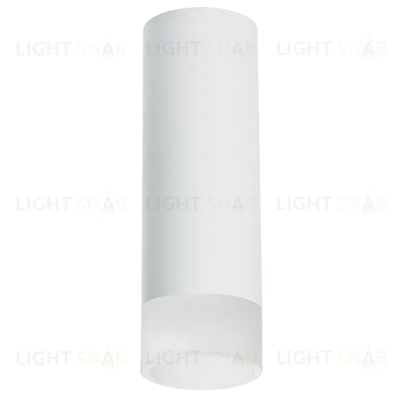 Накладной светильник Lightstar Rullo R48631 (214486+202431) R48631