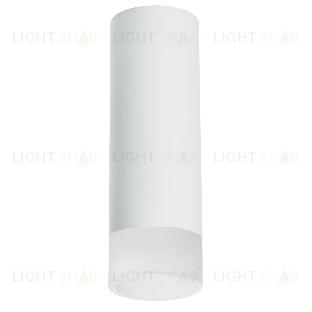 Накладной светильник Lightstar Rullo R48631 (214486+202431) R48631