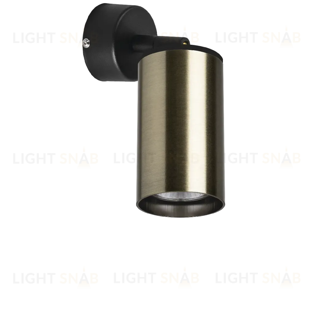 Встраиваемый спот Lightstar Rullo RB431 (214431+590007) RB431