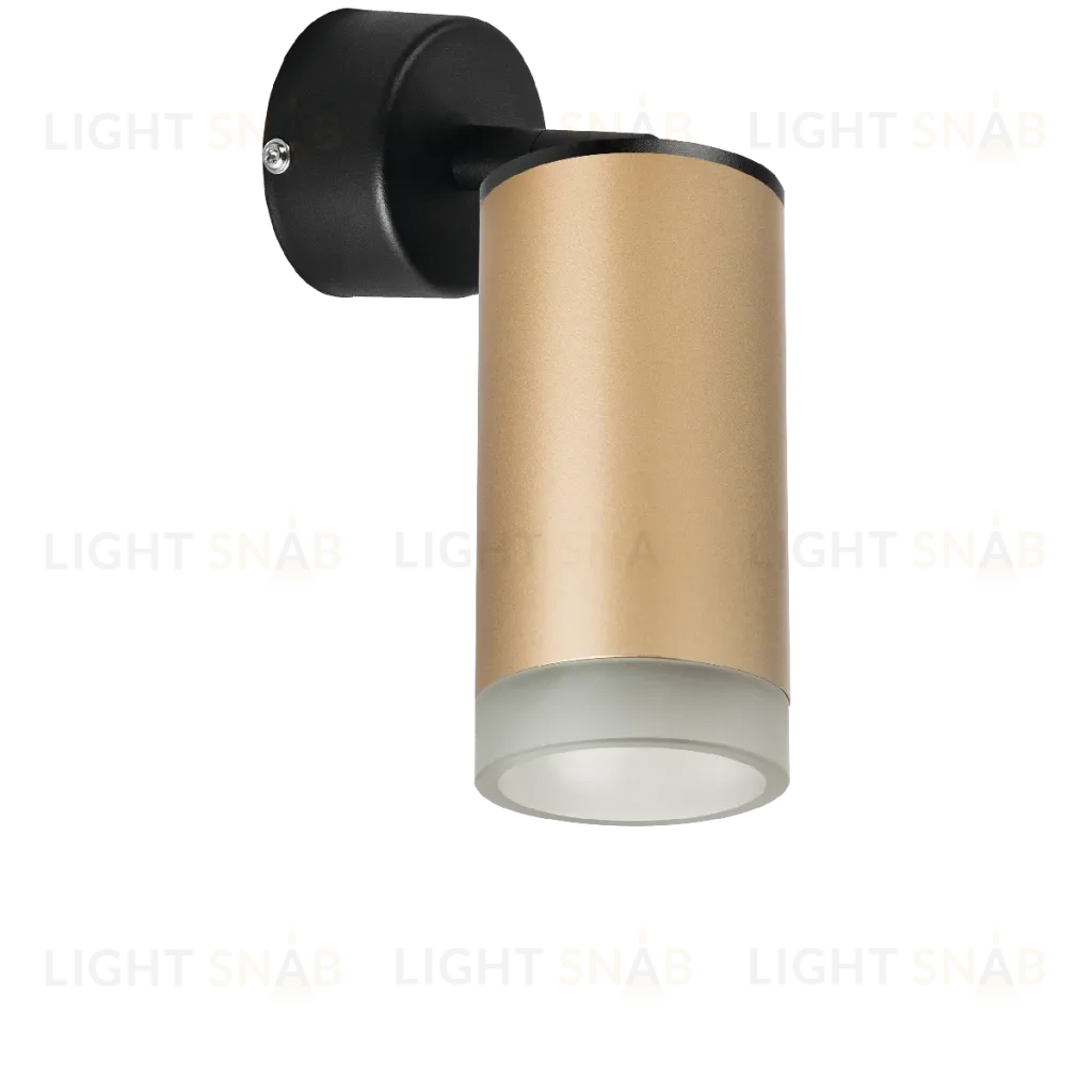 Встраиваемый спот Lightstar Rullo RB44030 (214440+590007+202430) RB44030