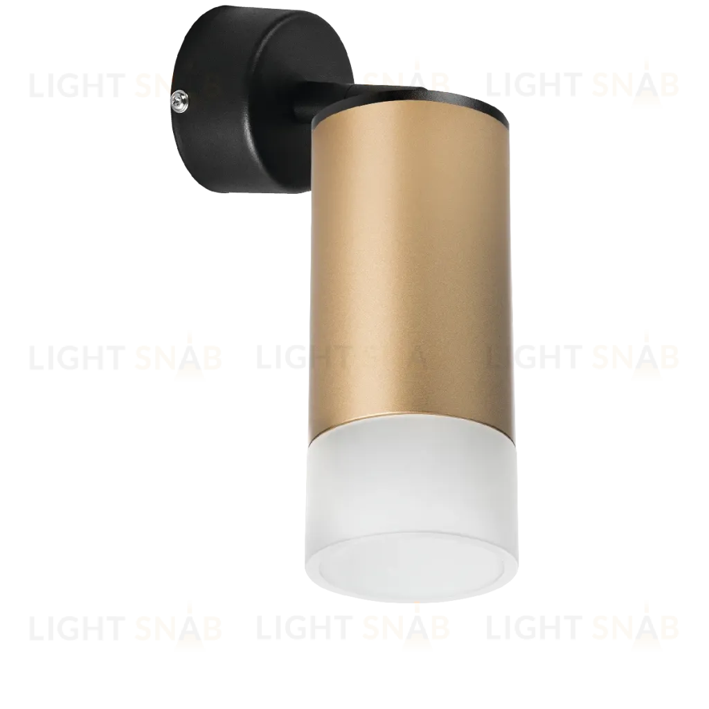 Встраиваемый спот Lightstar Rullo RB44031 (214440+590007+202431) RB44031