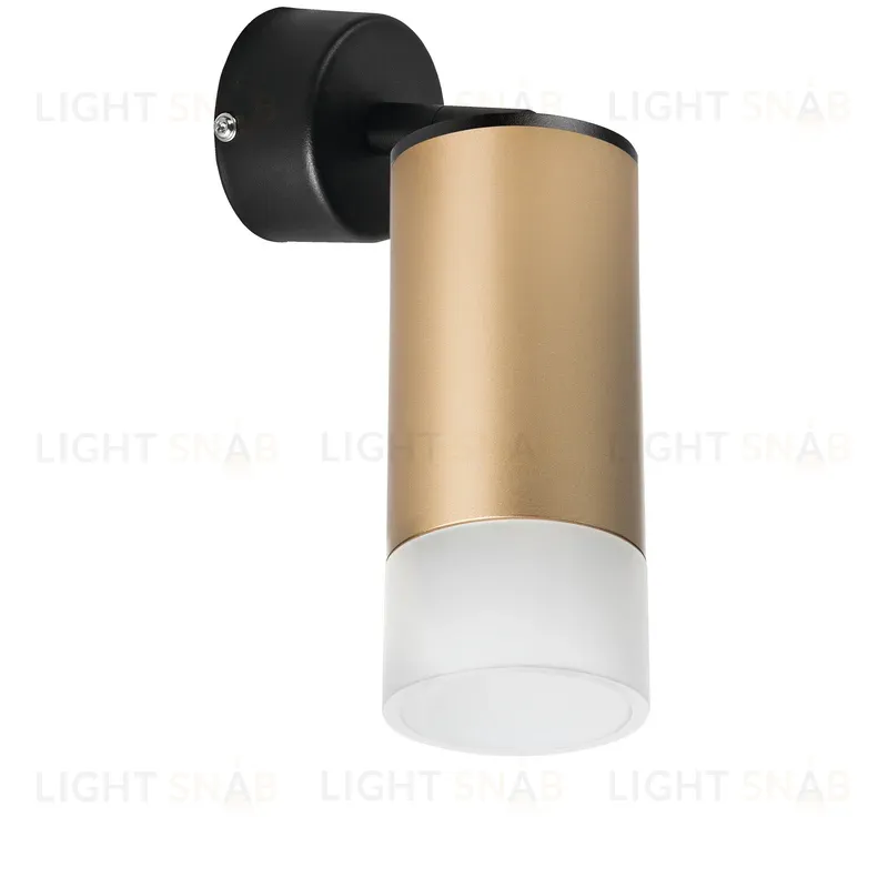 Встраиваемый спот Lightstar Rullo RB44031 (214440+590007+202431) RB44031