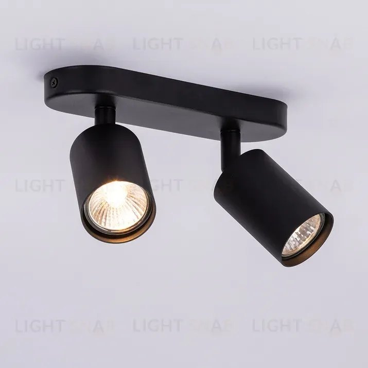 Спот Arte Lamp Aquarius A3226PL-2BK A3226PL-2BK