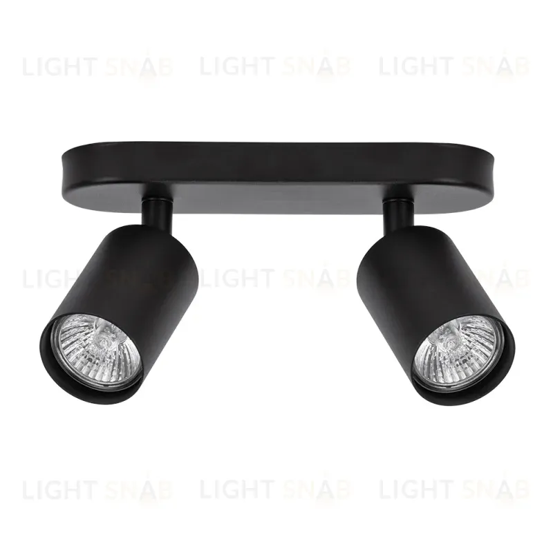Спот Arte Lamp Aquarius A3226PL-2BK A3226PL-2BK