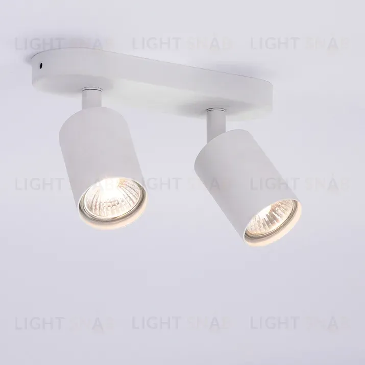 Спот Arte Lamp Aquarius A3226PL-2WH A3226PL-2WH