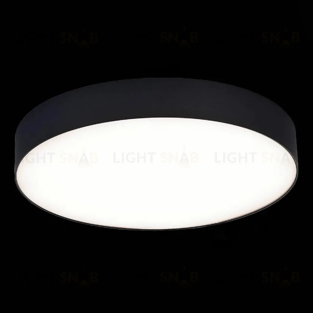 Потолочный светильник ST Luce ST606.442.48 ST606.442.48