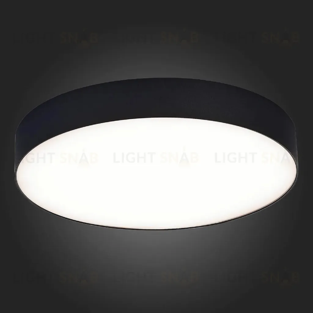 Потолочный светильник ST Luce ST606.442.48 ST606.442.48