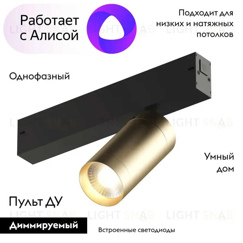 Трековый светильник Denkirs Smart DK8010-BG DK8010-BG