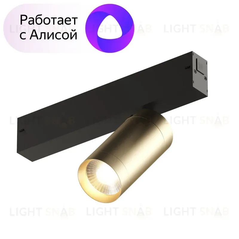 Трековый светильник Denkirs Smart DK8010-BG DK8010-BG