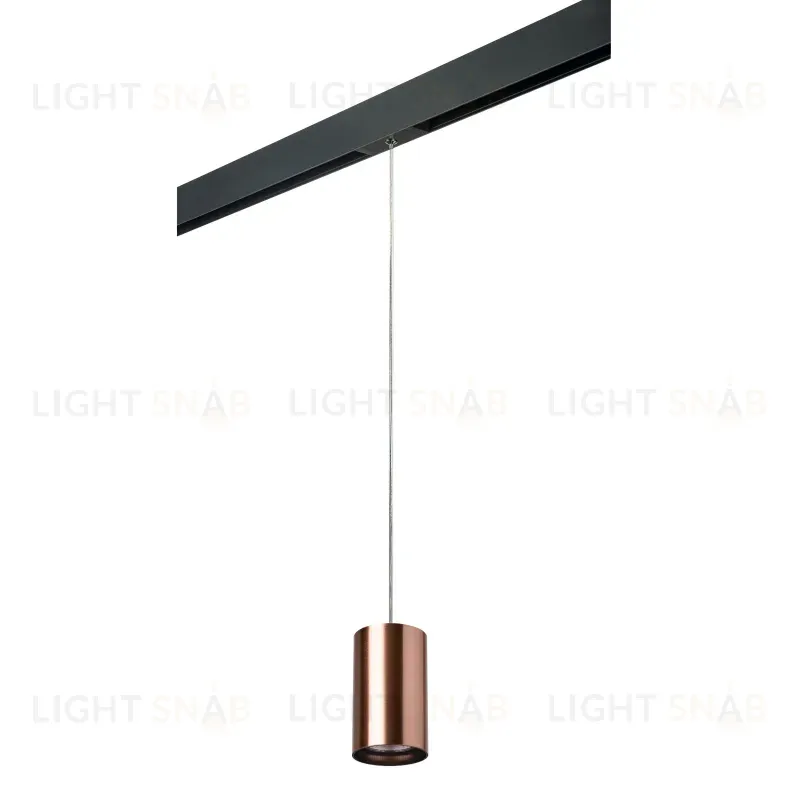 Трековый светильник Lightstar Rullo PRORP430 (214430+595857) PRORP430