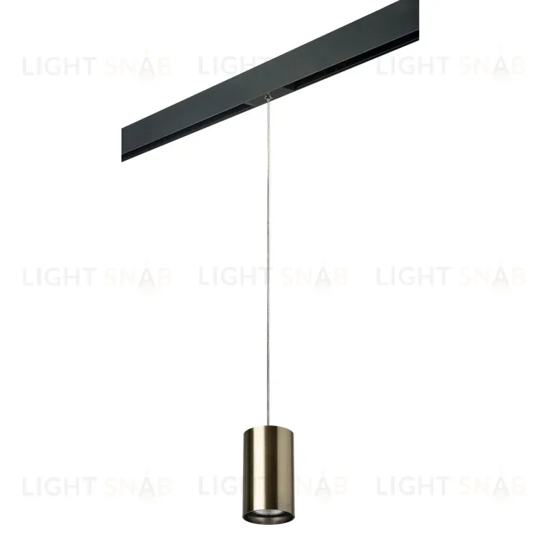 Трековый светильник Lightstar Rullo PRORP431 (214431+595857) PRORP431