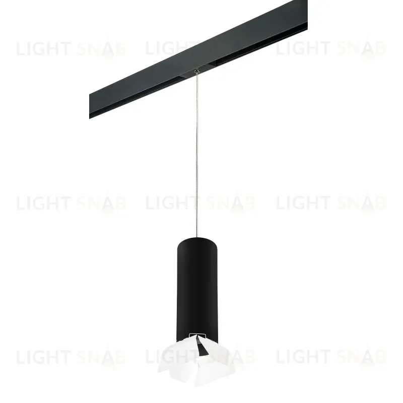 Трековый светильник Lightstar Rullo PRORP6497486 (216497+595887+202486) PRORP6497486