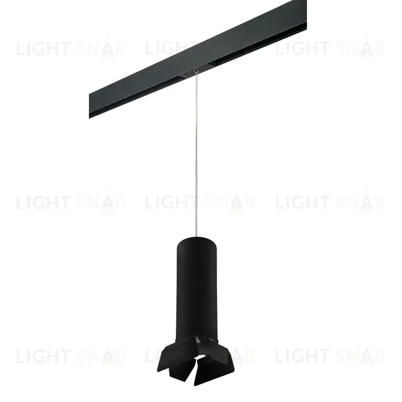 Трековый светильник Lightstar Rullo PRORP6497487 (216497+595887+202487) PRORP6497487