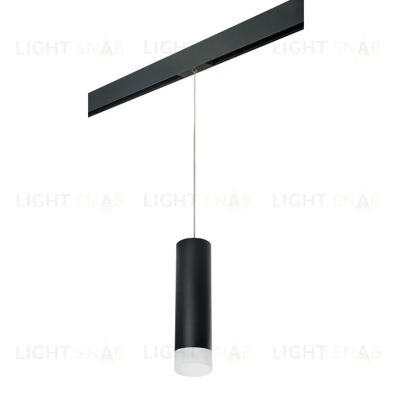 Трековый светильник Lightstar Rullo PRORP649781 (216497+595887+202481) PRORP649781