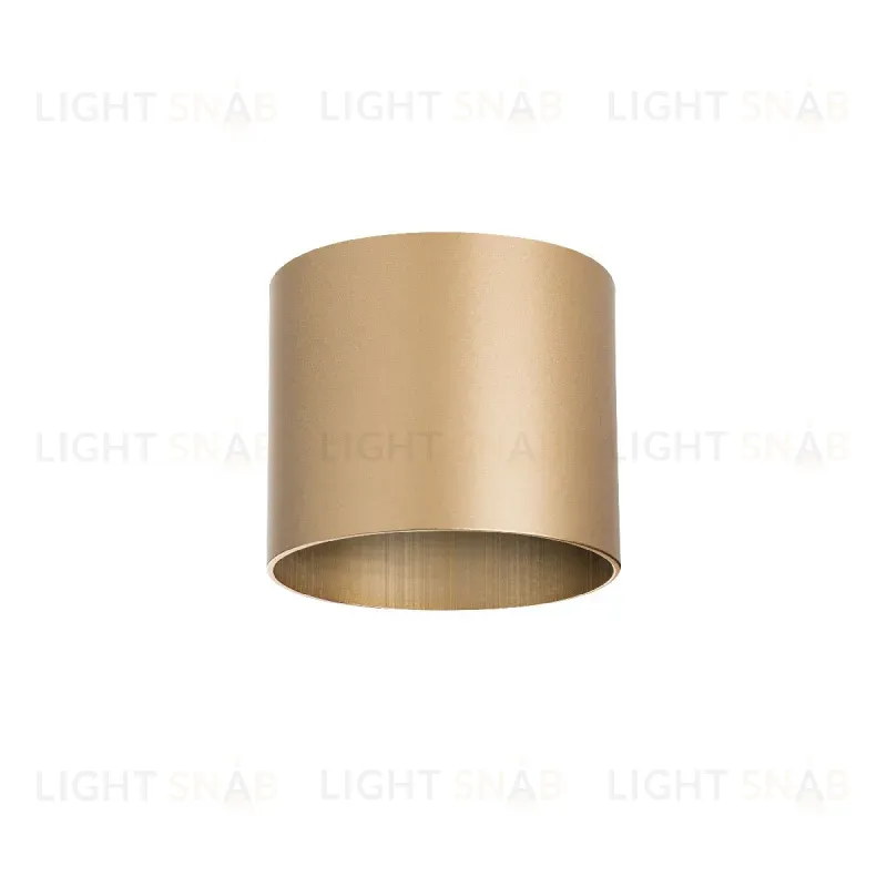 Накладной светильник Lightstar Rullo 213490 213490