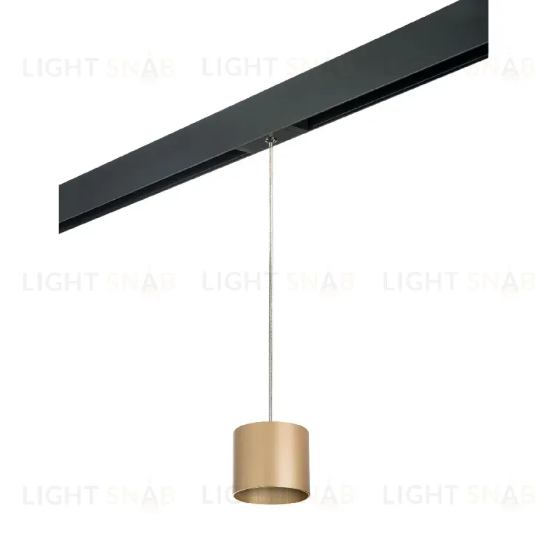 Трековый однофазный светильник Lightstar Rullo (213490+595887) PRORP3490 PRORP3490