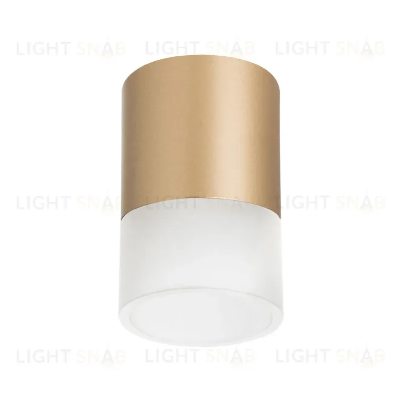 Накладной светильник Lightstar Rullo (213490+202481) R349081 R349081