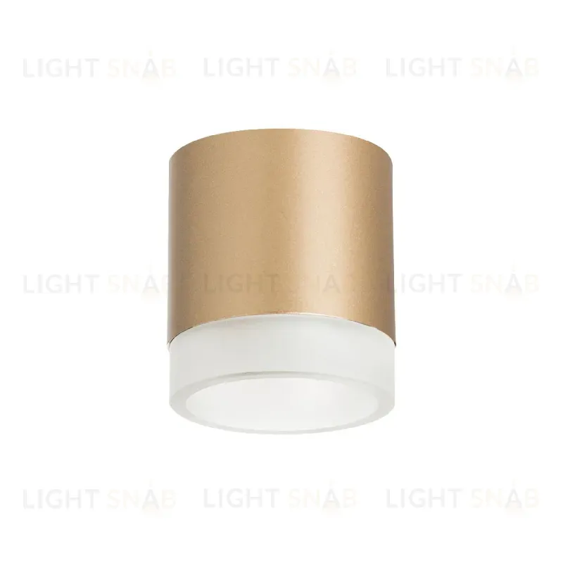Накладной светильник Lightstar Rullo (213490+202480) R349080 R349080