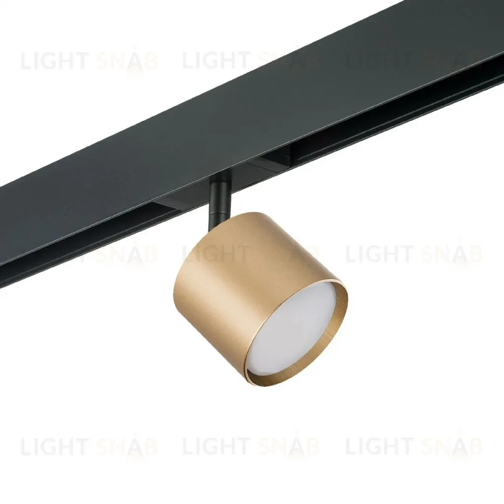 Трековый однофазный светильник Lightstar Rullo (213490+595087) PRO3490 PRO3490