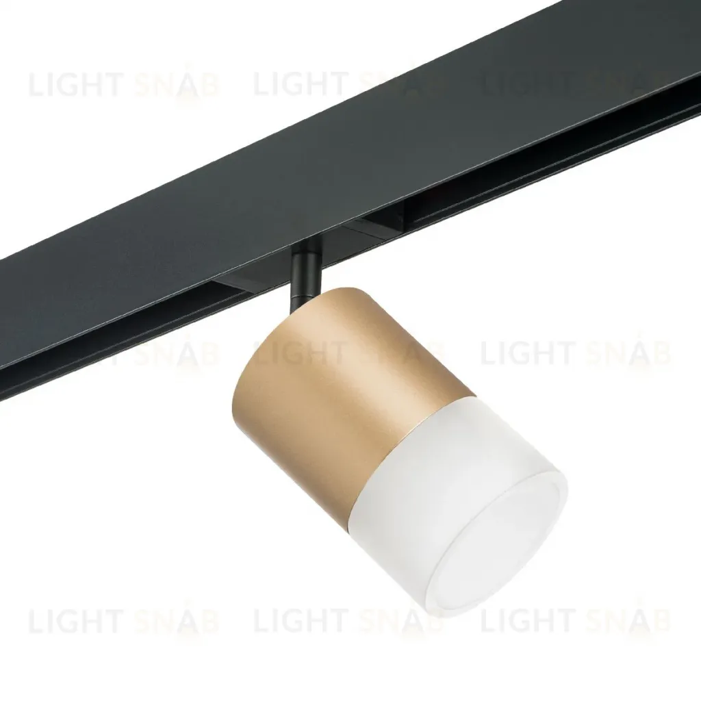 Трековый однофазный светильник Lightstar Rullo (213490+595087+202481) PRO349081 PRO349081