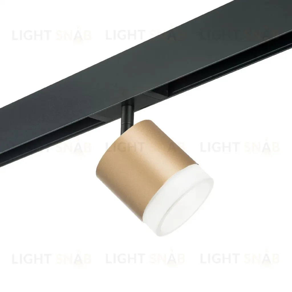 Трековый однофазный светильник Lightstar Rullo (213490+595087+202480) PRO349080 PRO349080