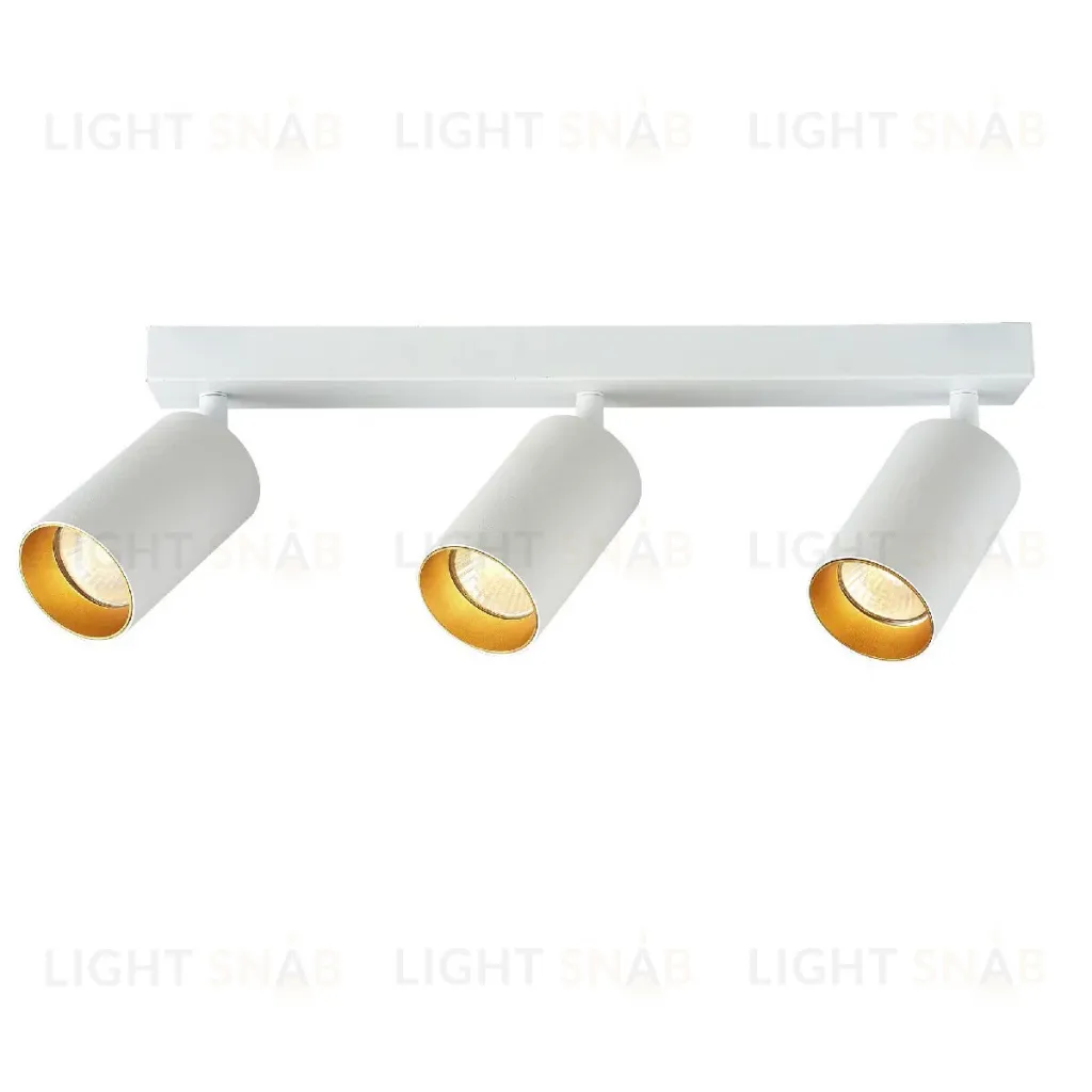Спот Brizzi Aras BR08088 BR08088