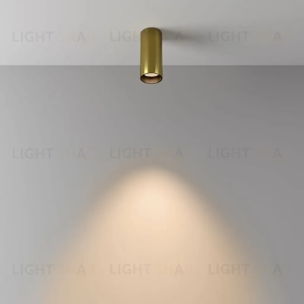 Накладной светильник Maytoni Focus LED C056CL-L12W3K-W-BS C056CL-L12W3K-W-BS
