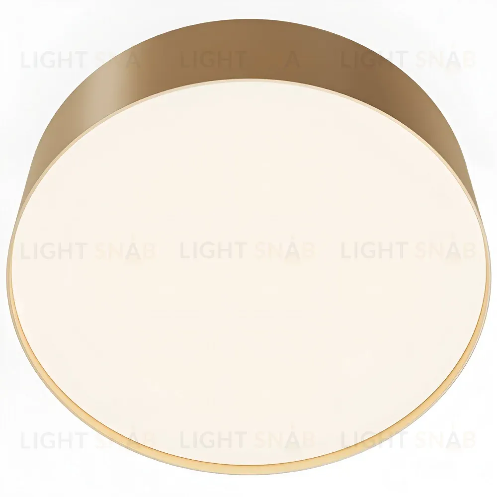 Потолочный светильник Maytoni Technical Ceiling Zon C032CL-24W4K-RD-MG C032CL-24W4K-RD-MG